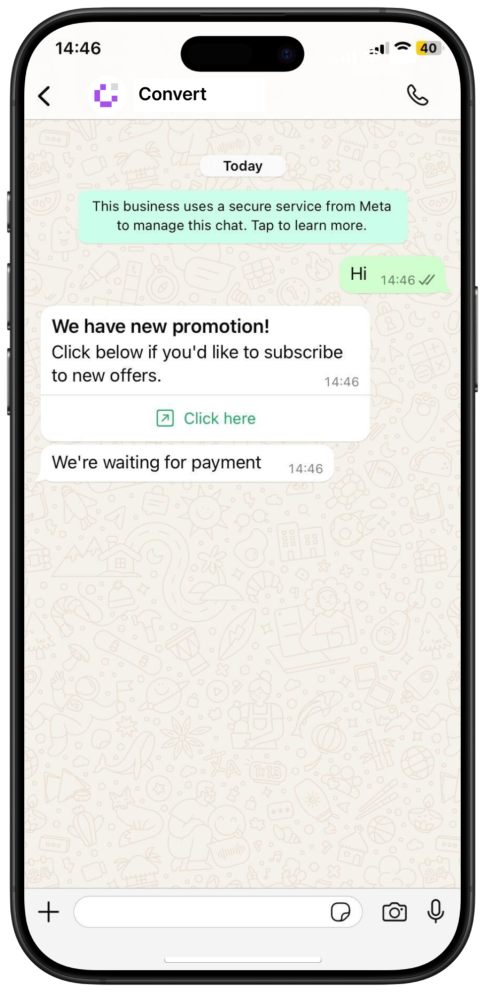 WhatsApp conversation showing a Convert promotion and payment reminder