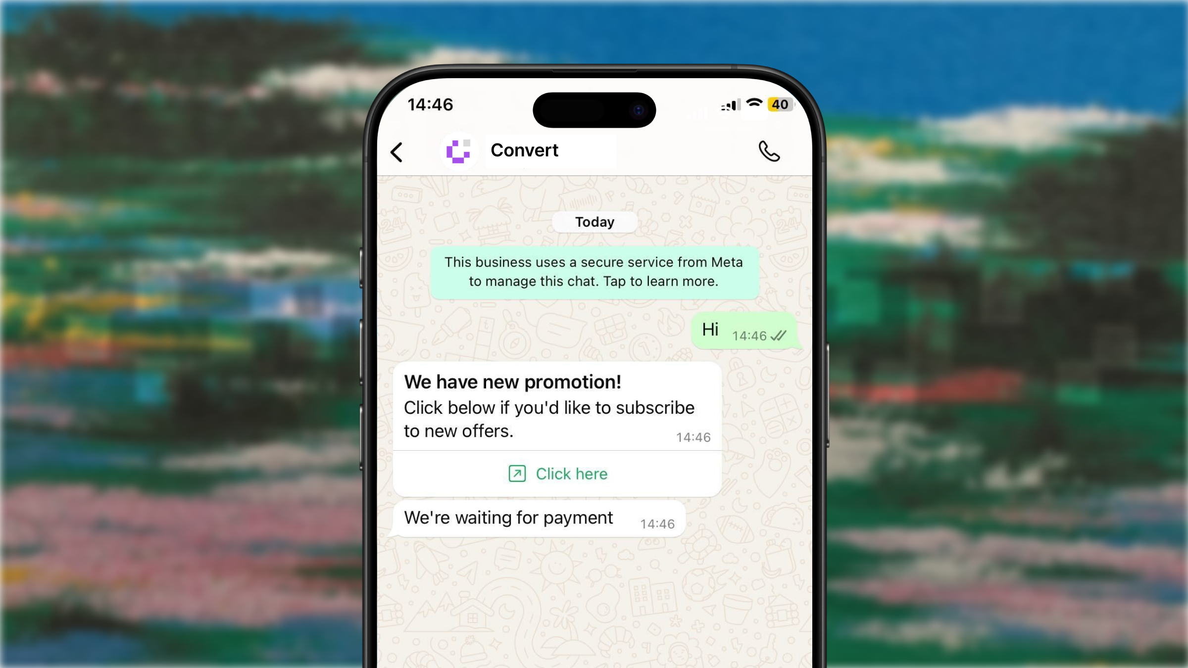 Convert WhatsApp promotion and payment reminder shown in a customer conversation